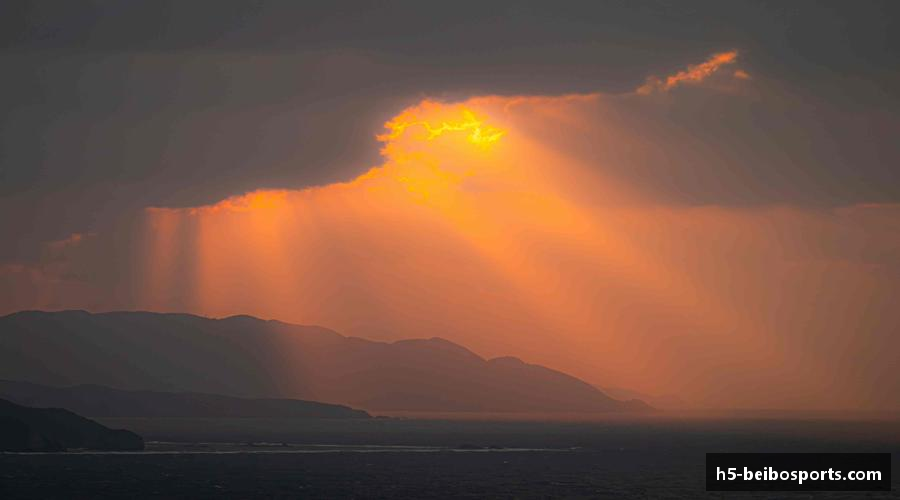 解析贝博体育网站